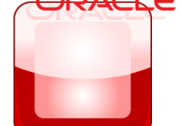 Oracle Database 11g R2